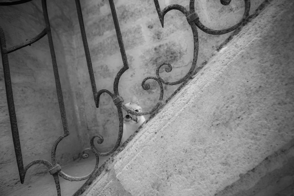 La Comédie de Pézenas - Appartements Exterior foto